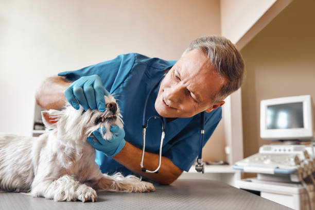 Best Dental Abscess Treatment in Abita Springs, LA